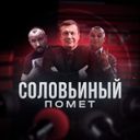 Аватарка канала @slvn_pomet