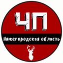 Аватарка канала @nn_obl