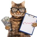Аватарка канала @catfromwallstreet