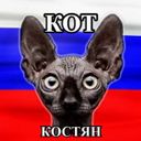 Аватарка канала @kotreal