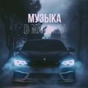Аватарка канала @muscarx